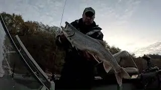 Fall Trout Fishing the Niagara River & Lake Ontario