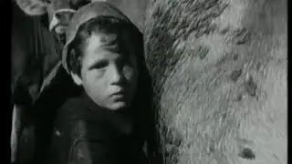 Veneti in Brasile - Storie dell`emigrazione italiana