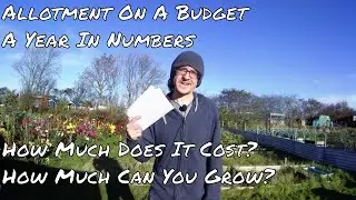 Allotment &ndash; A year in numbers. How much does an allotment cost? How much can you grow?
