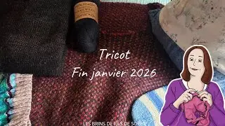 Podcast tricot janvier 2025 : cast on et achats