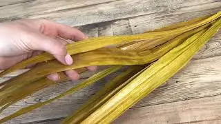 сухоцвет лист пальмы на стебле  (10шт) желтый