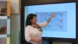 İnsan anatomiyası və morfologiyasi haqqında ümumi  məlumat - Geyim üzrə dizayner ixtisası