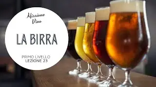 Lezione 23: La birra