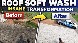 INSANE Roof Soft Wash Transformation | Black Streaks Completely Removed