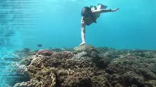 Swimming with the turtles at Daymaniyat Islands Oman