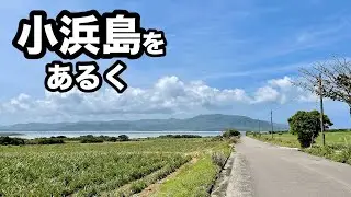 【ちゅらさんの島】小浜島をあるく
