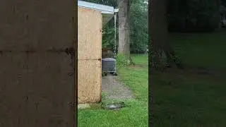 Downspout missing, heavy rain (reversed video)