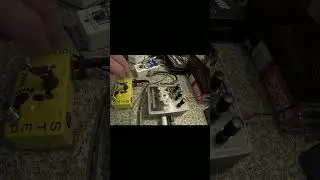 Wild sounds with the Worm!