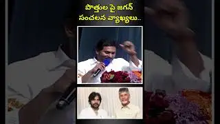 CM Jagan Sensational comments on Alliances | Ntv