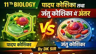Difference between Plant cell and Animal cell( पादप कोशिका और जंतु कोशिका में अंतर)