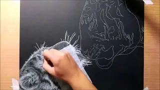 Drawing tigers on black paper - Speed drawing by MagLM