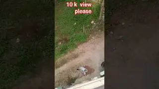 No View's 😢🥹#youtube #funny#viral#youtubeshot