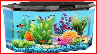 Quality product -  Modern LED Desktop Aquarium for a Brilliant Home Aquatic Display