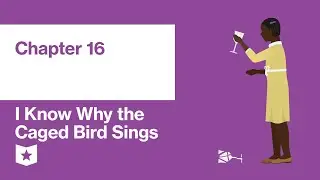 I Know Why the Caged Bird Sings by Maya Angelou | Chapter 16