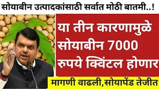 जानेवारीत या 3 कारणामुळे सोयाबीन 7000 रु| soyabean bajar bhav today|soyabean bhav today#सोयाबीन भाव