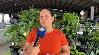 Conheça a história da Feira Municipal de Juara e suas atividades planejadas para 2026