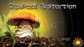 Radical Distortion - Transparent Joint