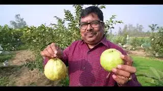 Horticulture Department Up Upmip