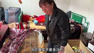 养鸡子还是需要多学习啊，这样鸡子才能越养越好。 #家庭日常 #家庭琐事 #记录生活