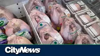 Health Canada issues turkey recall for western Canada
