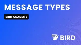 Types of Messages You Can Send With Bird