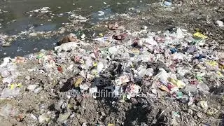 Endless Urban Neglect: A Long Shot of Garbage-Strewn Drainage in the City