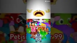 Tapping legends final