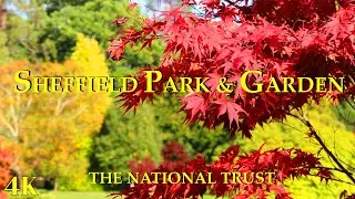 Stunning Autumn Colours at Sheffield Park & Garden - The National Trust 🇬🇧