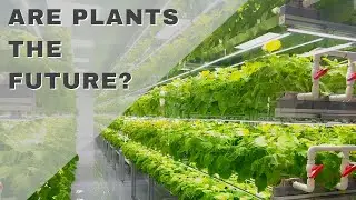 Are Plants The Future?