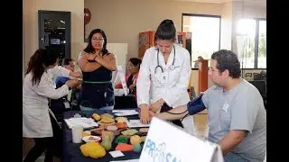 Programa Empresarial