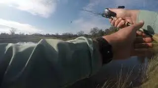 Sacramento Pond Fishing | Bannister Pond 2/13