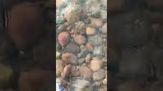 Rupnagar #rupnagar #ropar nature at its best #riverside #sutlejriver #travel #vlog