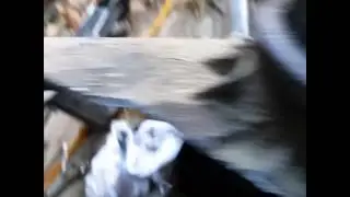 broke transfer case in half