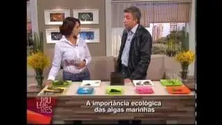 Algas Marinhas - Importância ecológica!
