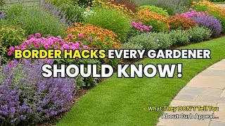😍 Curb Appeal Upgrade | Front Yard BORDER Ideas Using PERENNIALS 🌼