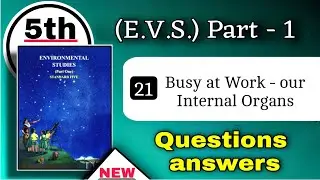 class 5 evs 1 chapter 21 question answer - 5th evs part 1 busy at work our Internal organs exercise