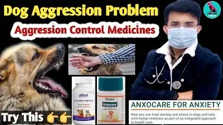 Dog Aggression Control Medicines || Solutions Of Dog Aggression 👇 || Start Medicinal Course Soon