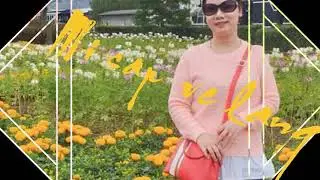MI VE LANGPHIEN BAN MOI NHAT