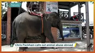 Conservationist Chris Packham Asks Tourists To Avoid Cruel Animal Attractions This Summer