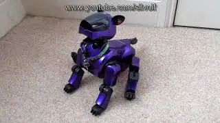 Razz Running Aibo Explorer