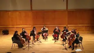 Steve Reich Cello Counterpoint