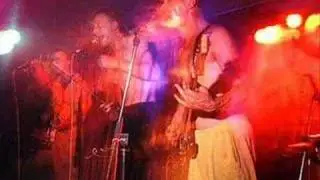 tofu love frogs - folk off reverand