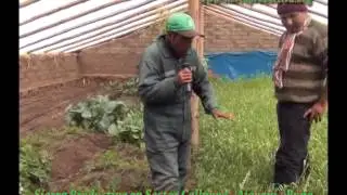 Sierra Productiva en predio de Juan Apaza - Sector Callpuyo - Ajoyani - Puno