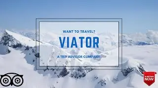 What is Viator? Viator tours | Viator travels | via tor | tripadvisor
