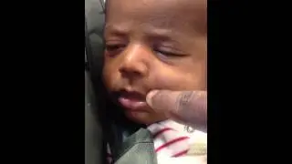 pic 026