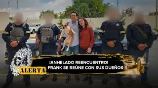 Rescatan a Frank, perro bulldog francés que fue robado en la México-Querétaro