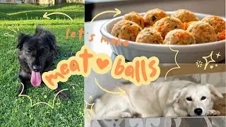 Homemade Chicken Meatballs for Dogs 🍗🐾