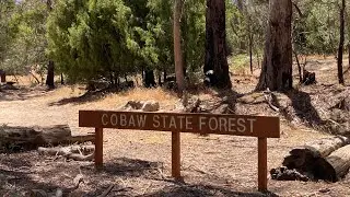 Roughest 4x4 Extreme track Alcorns in COBAW Australia dbl Diamond 