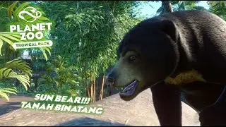 Sun Bear Exhibit!!! Tanah Binatang Planet Zoo