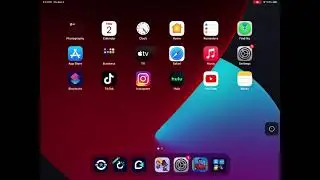 TD PILOT settings and assistive touch